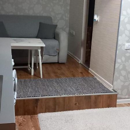 Cozy Studio In The Heart Of Cluj Eksteriør billede